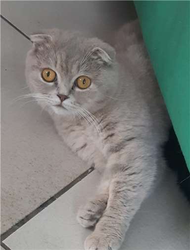 Bijou.  Foto: privat