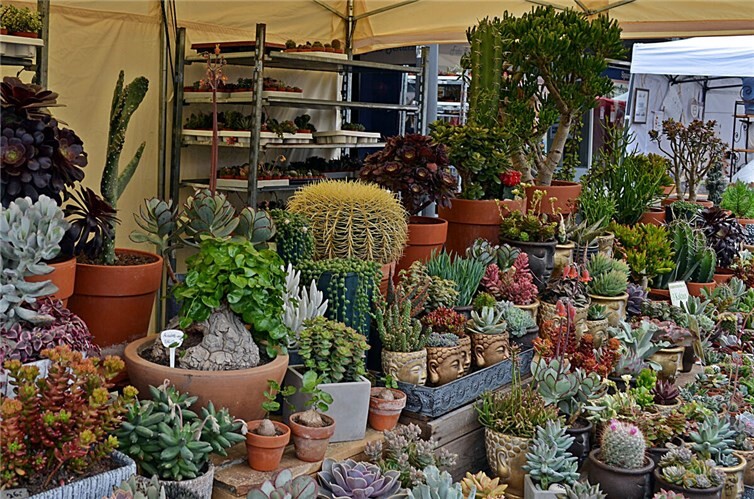 Frühling erleben beim Neuwieder Gartenmarkt 