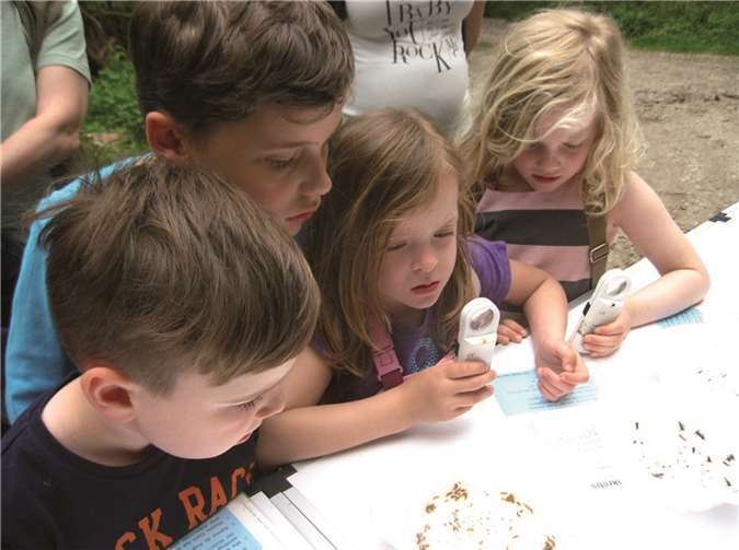 Auf der Suche nach Bachflohkrebsen 