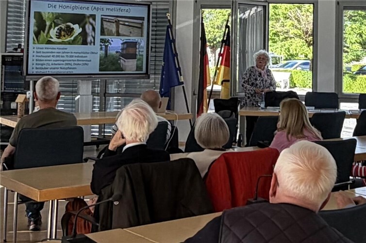 Wildbienenvortrag im Ratssaal der VG Weißenthurm mit reger Beteiligung 