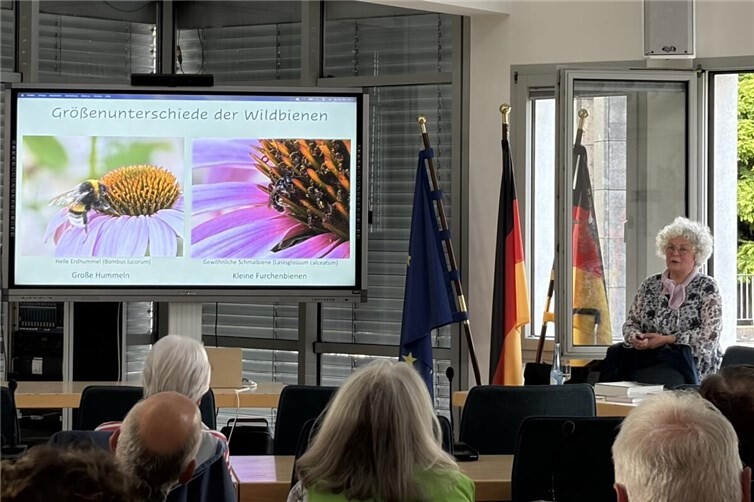 Wildbienenvortrag im Ratssaal der VG Weißenthurm mit reger Beteiligung 