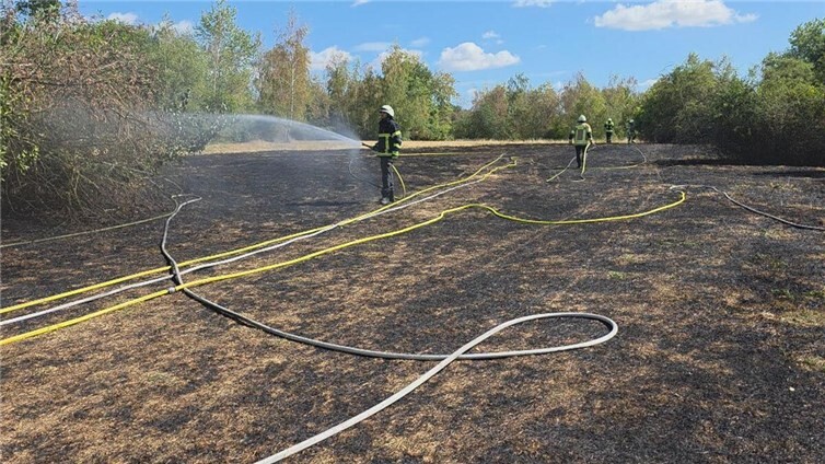 06.08.: Flächenbrand bei Erlebniswelten Grubenfeld 