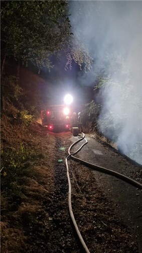 12.08.: Adenau: 700 Quatratmeter Wald an der Hohen Acht in Flammen 