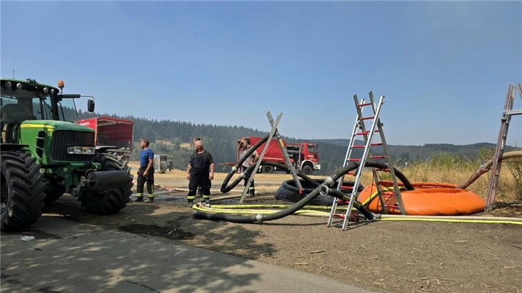 14.08.: Starke Rauchentwicklung: Waldbrand wütet zwischen Langenfeld und Langscheid 