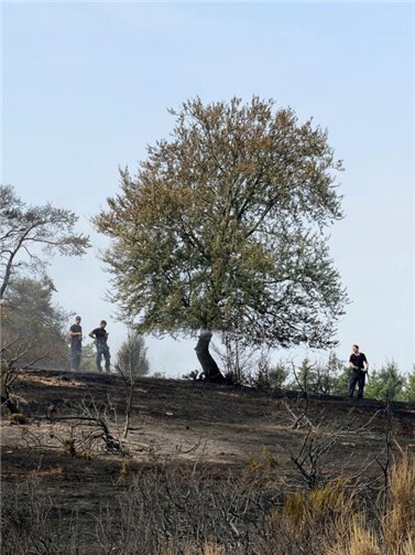 Waldbrand bei Langscheid: Löscharbeiten werden am Samstag fortgesetzt 