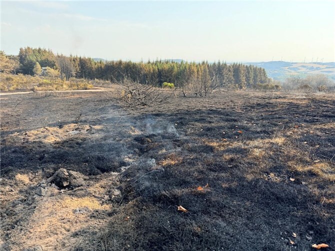 15.08.: Brandgeruch und Rauch in Teilen von MYK möglich 