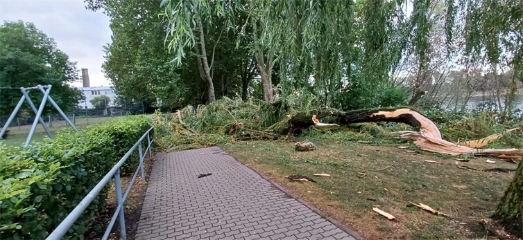 20.08.: Starkes Unwetter in Neuwied: Es besteht weiterhin Gefahr durch herabfallende Äste