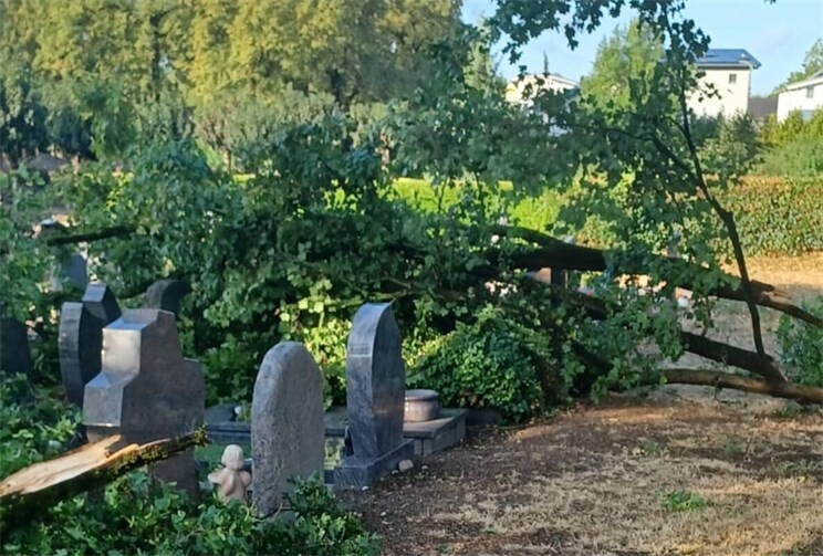 20.08.: Starkes Unwetter in Neuwied: Es besteht weiterhin Gefahr durch herabfallende Äste 
