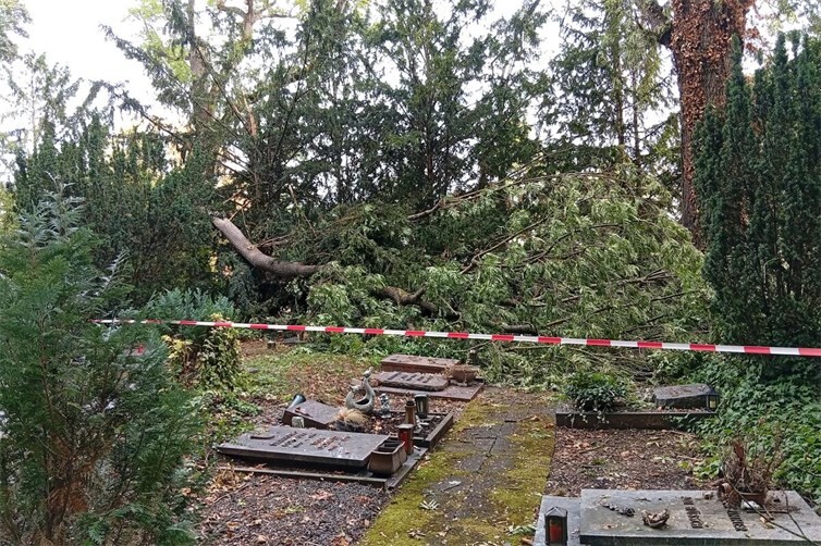 Sturmschäden auf Koblenzer Hauptfriedhof beeinträchtigen Wege und Bäume
