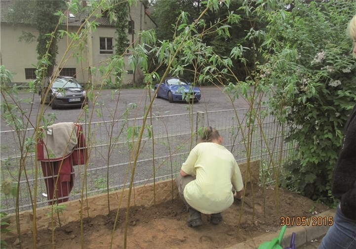 Jiepie, bei uns entstand ein Weidentipi! 