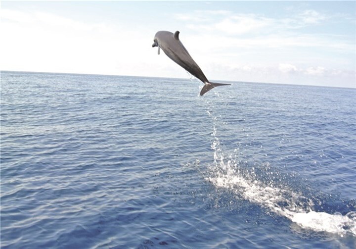 Karin Küsel-Ferber stellte Costa Rica vor 