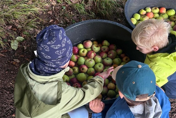 Von der Frucht zum Saft – Die Schildkrötenbande erlebt einen Apfeltag auf der Christinenhöhe 
