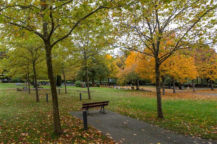 Naturnahe Urnenbestattung auf dem Friedhof in Selters findet Zuspruch 
