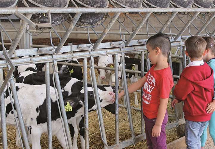 Schuki-Ausflug zum Urdorfer Hof 