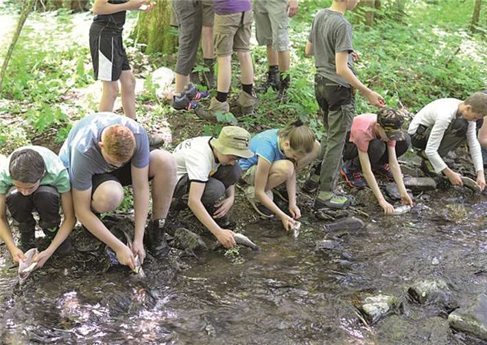 Leben im Wald - Veranstaltungsreihe für Jugendliche und junge Erwachsene