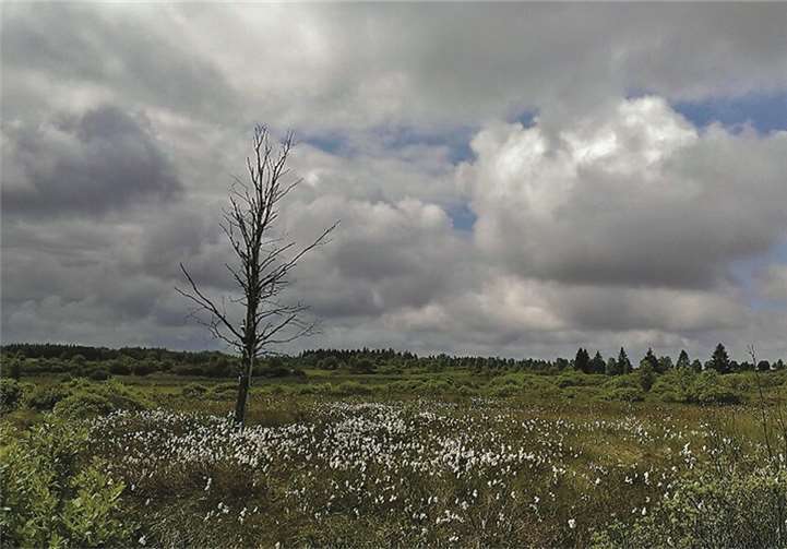 Jungschützen auf Schmuggler-Tour