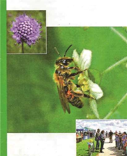 Geologische Führung über den Rodderberg 