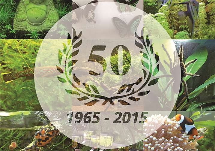 Ehrungen zur Jubiläumsfeier 