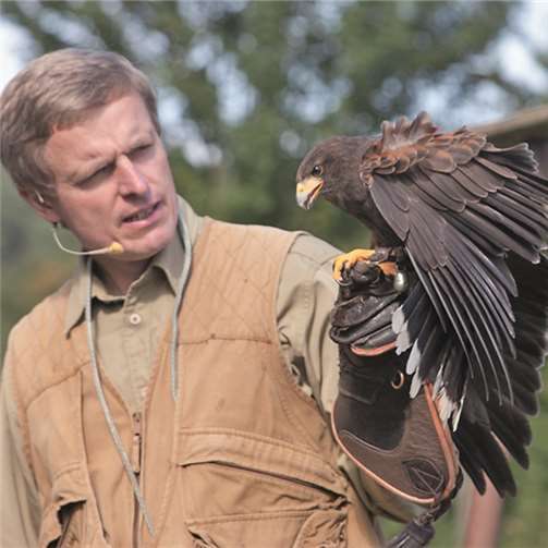 Heißer Sommer, laue Nächte, Bühnenshows und Feuerwerk