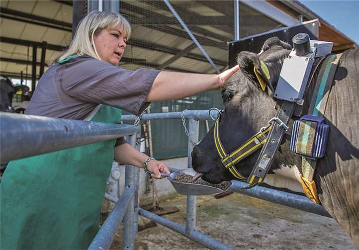 Die Expo zeigt Wellness für die Milchkuh