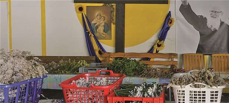 Wozu das Kraut gewachsen ist ... 