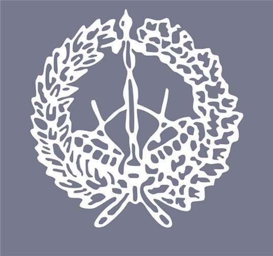 Diverse Veranstaltungen musikalisch unterstützt 