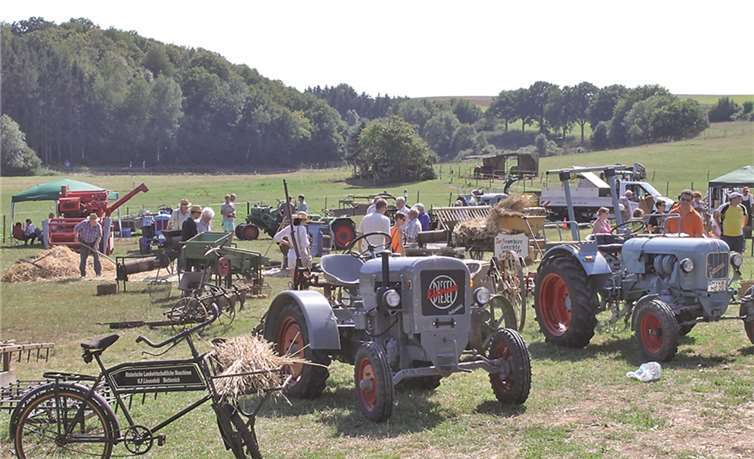 Buntes Spektakel rund um die Kartoffel