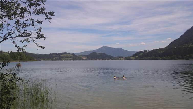 Zeitmaschine und Gegenteiltag 