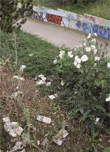 Mitmachen beim Säubern des Rheinbach Bahnhofs