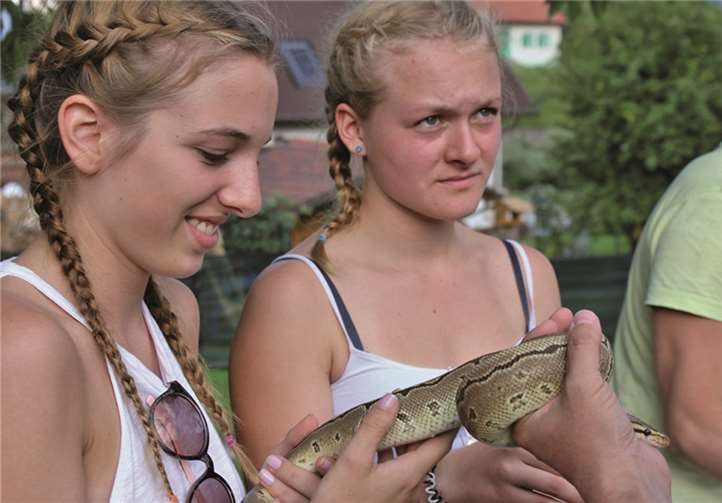 Unterwegs in den slowenischen Alpen und an der dalmatischen Küste 