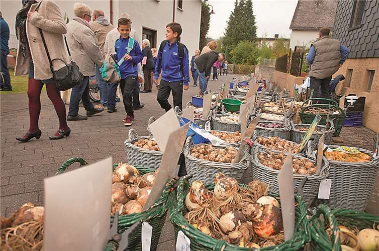Ein rundum gelungener Bauernmarkt 