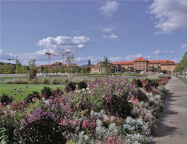 Blumen & Geschichte & Wein - eine zweitägige Fahrt in die Pfalz 