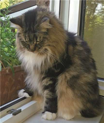 Katja und Pan suchen ein kuscheliges Plätzchen 