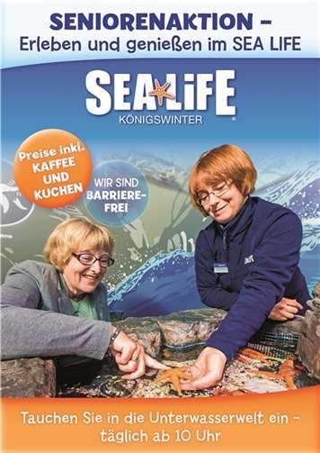 Ein perfekter Tag in der Unterwasserwelt