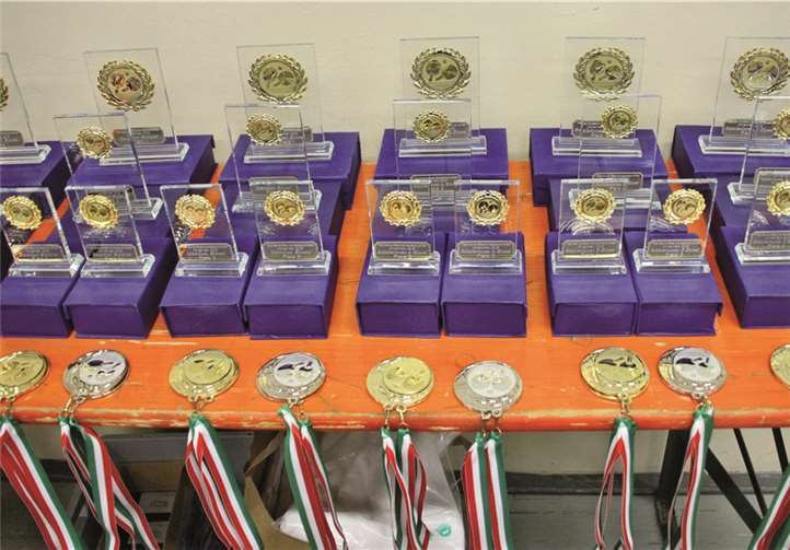 247 Kinder und Jugendliche kämpften um Titel und Medaillen 