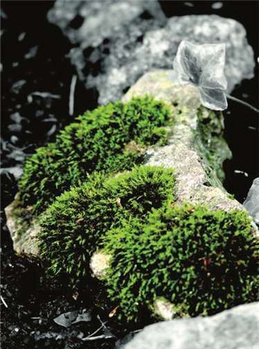 Ausstellung Kindergräber - Orte zum Verweilen, Sinnen und Erinnern