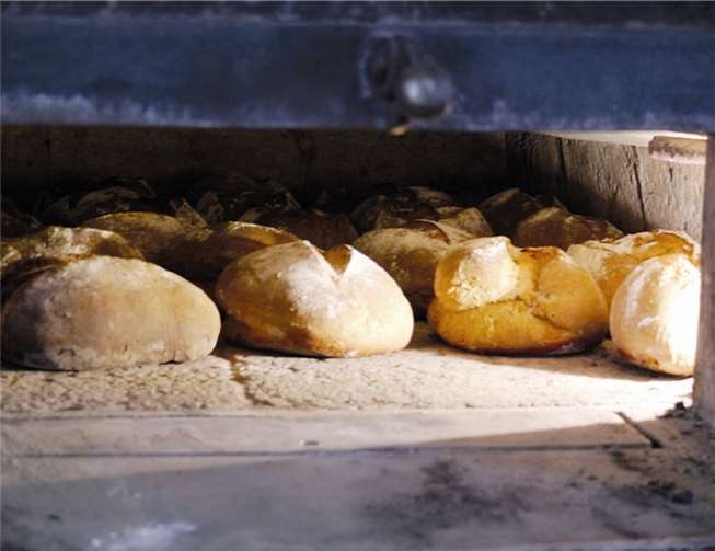 Schukis besuchen einen Bauernhof 