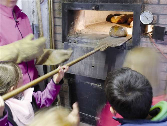 Schukis besuchen einen Bauernhof 