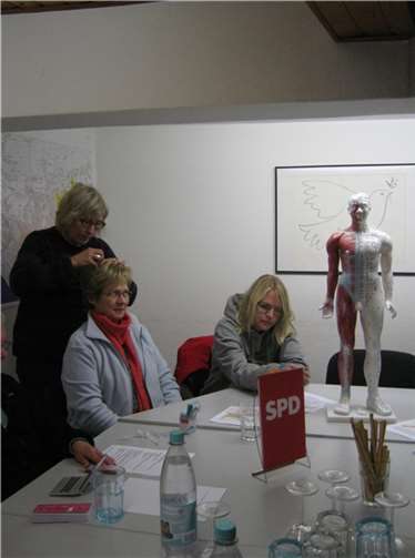 Leitbahnen zum Aufsuchen von Akupunkturpunkten 