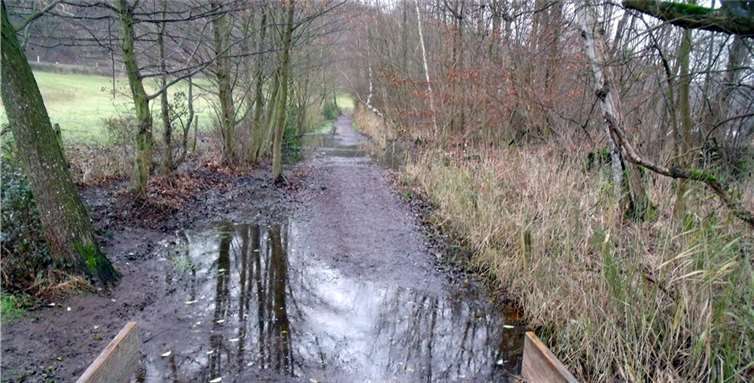 Rundweg am Laacher See 