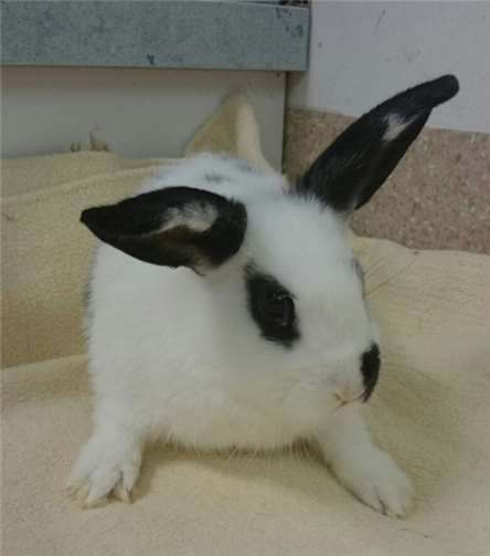 Junior und seine Familie 