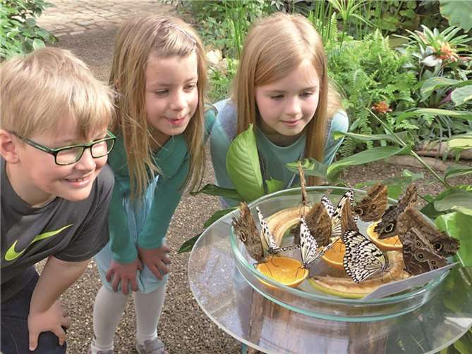 MYK-Heimatbuch ab sofort erhältlich 
