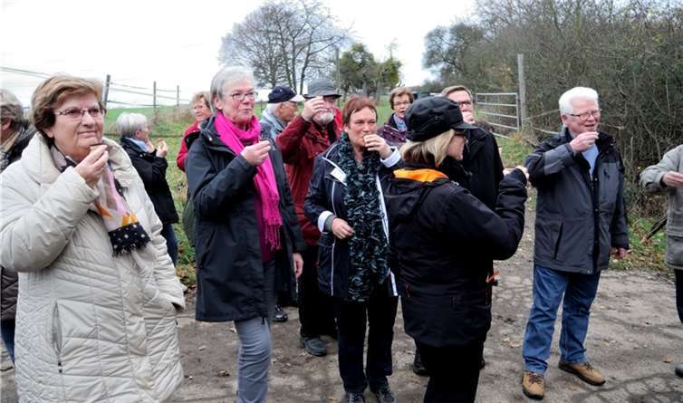 „Wanderung im Advent 2015“ 