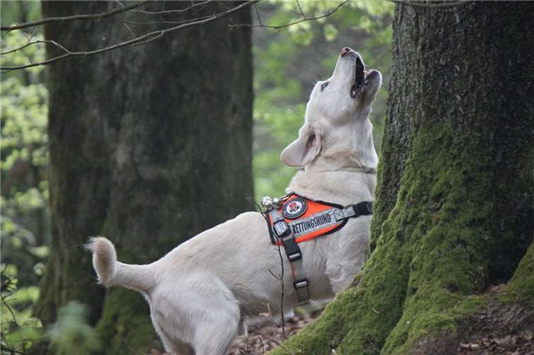 Intensives Übungswochenende mit Defibrillator-Spende 