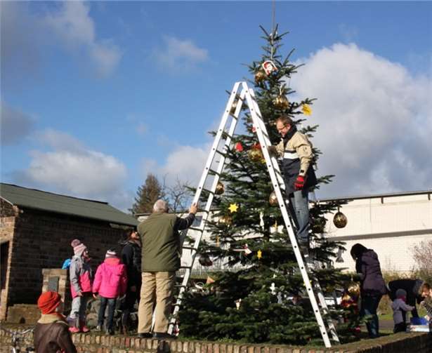 Dorftannenbaum im Töpferort Dorftannenbaum im Töpferort