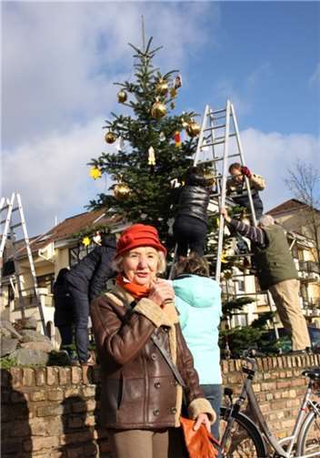 Dorftannenbaum im Töpferort Dorftannenbaum im Töpferort