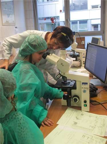 Neues von den “ABC-Tiger“ 