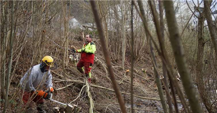 Gewässerrandpflege am Adenauer Bach