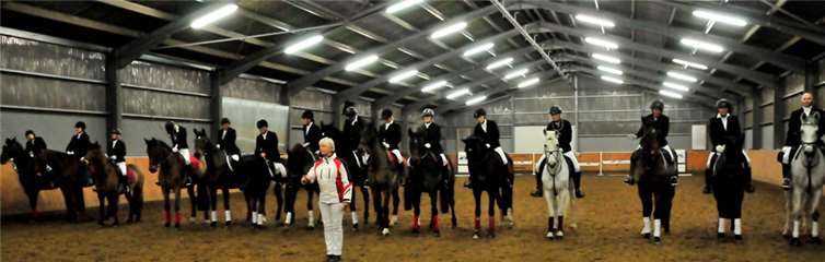 Brillante Darbietungen von Pferden und Reitern