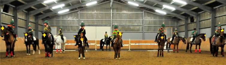 Brillante Darbietungen von Pferden und Reitern 